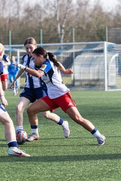 Bild 260 - wBJ Hamburger SV - Hertha BSC : Ergebnis: 2:1